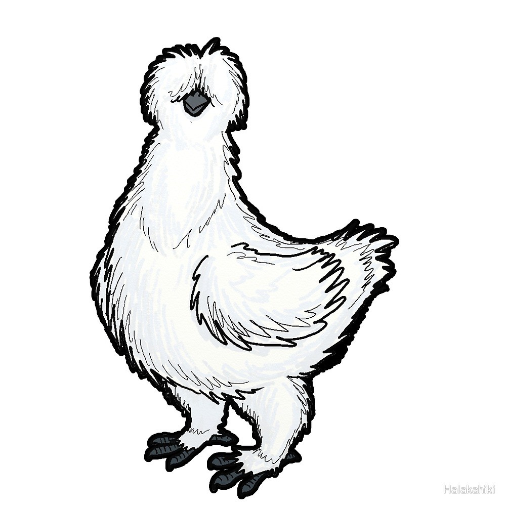 1000x1000 Rooster Drawing Free Download
