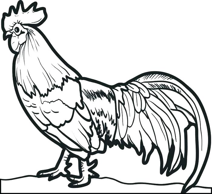 Chicken Feet Drawing | Free download on ClipArtMag