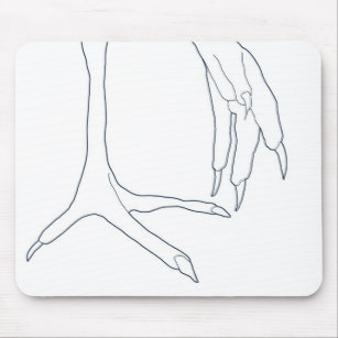 307x307 Chicken Feet Gifts On Zazzle