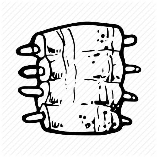 512x512 Chicken Food Drawing