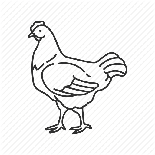 512x512 Collection Of Free Chicken Drawing Food Download On Ui Ex