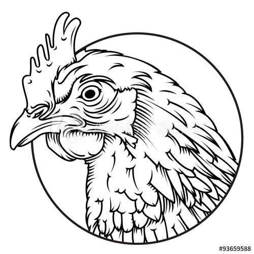 500x500 Chicken Head Line Drawing Isolated Easy To Edit And High