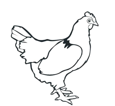 400x369 Download Free Png Chicken Outline Chicken Head Vector Illustration