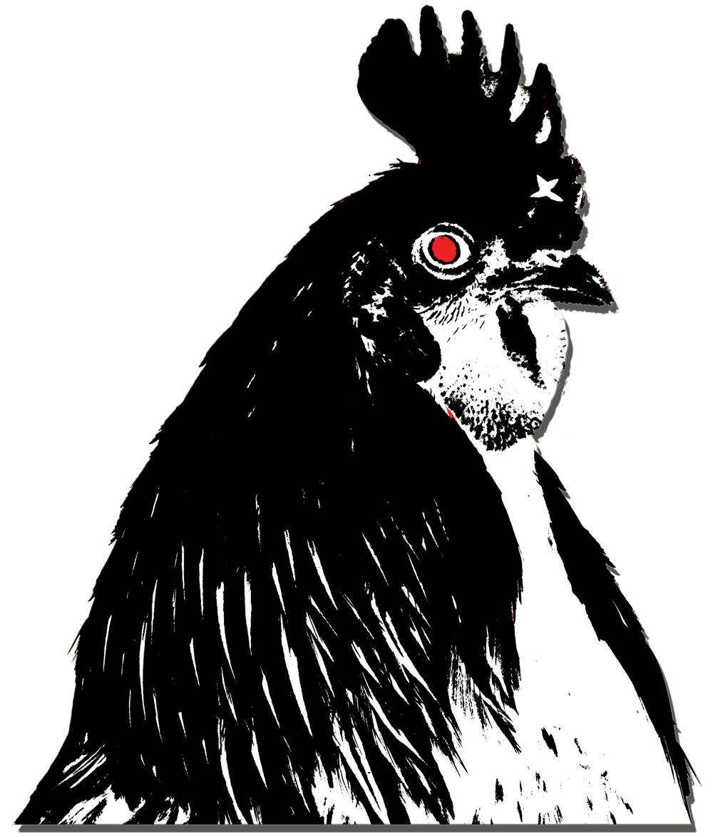 1000x1174 stupid drawing chicken transparent png clipart free download