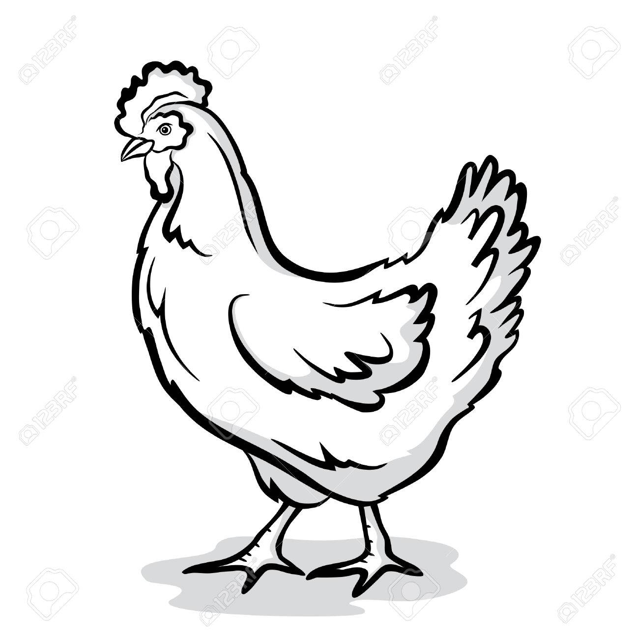 1300x1295 Chicken Head Clipart Black And White