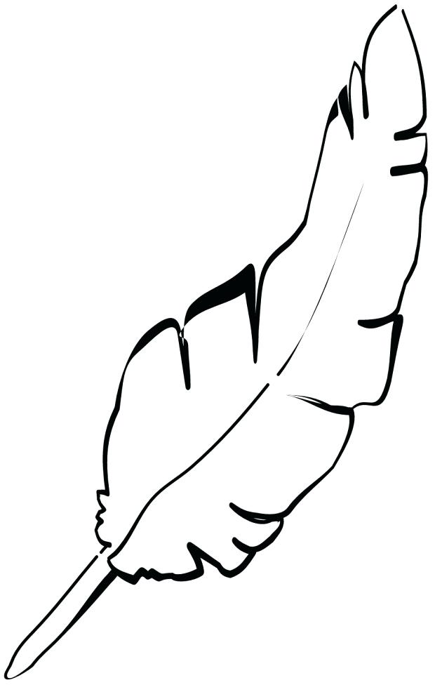 620x986 Chicken Icons Set Stock Vector Royalty Free Outline Png Of Such