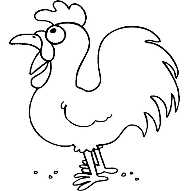 650x659 chicken template chicken outline drawing chicken template