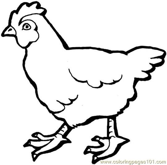 540x533 depositphotos stock photo chicken outline icon like