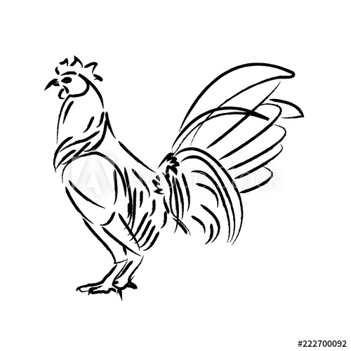 500x500 Outline Draw Chicken