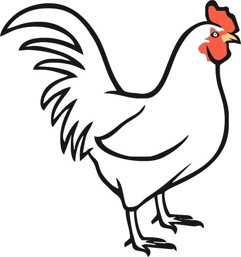 Chicken Outline Drawing | Free download on ClipArtMag