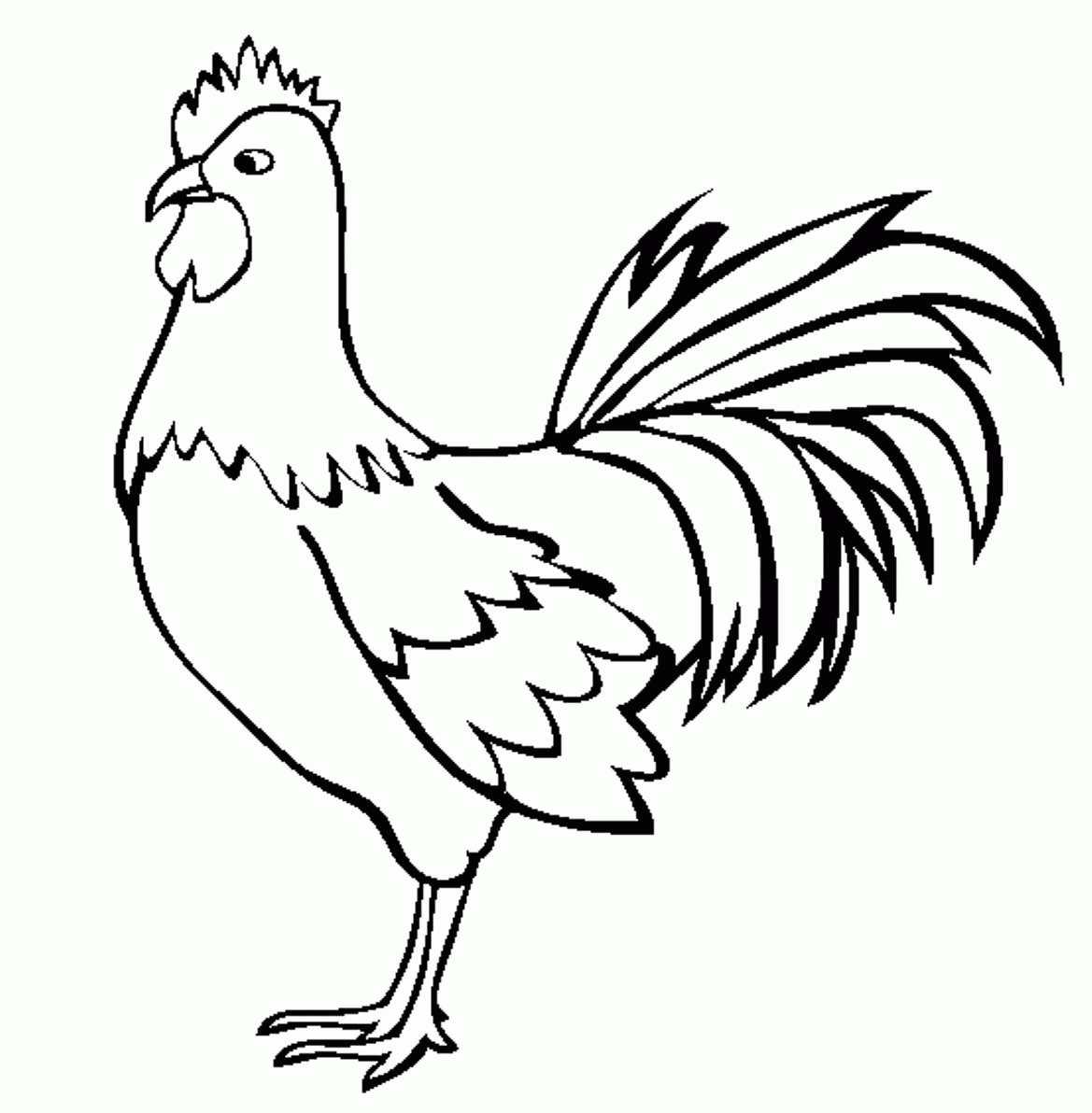 1169x1192 Rooster Drawing Chicken For Free Download