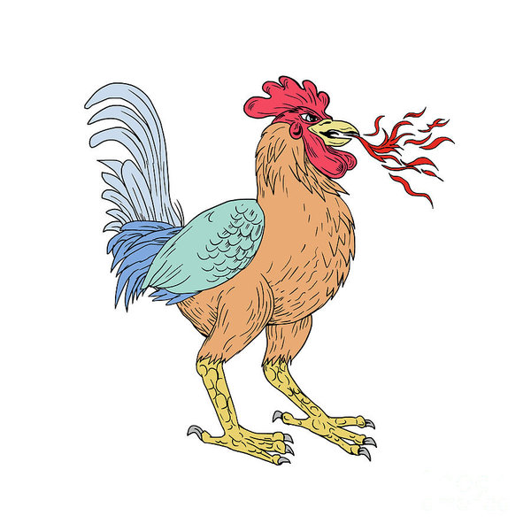 600x600 Chicken Scratch Art Fine Art America