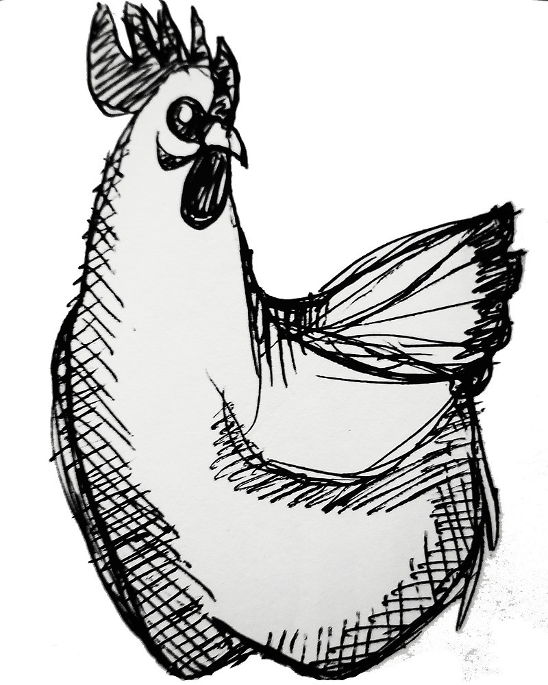 800x1000 Chicken Scratch
