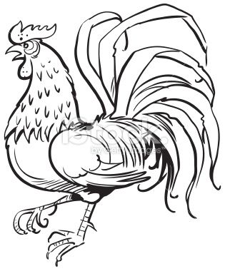 315x380 Illustration Of Rooster Vector Art, Royalty And Illustrators