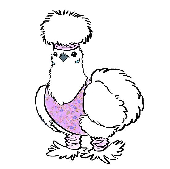 550x549 Karen The Silkie Chicken Posters