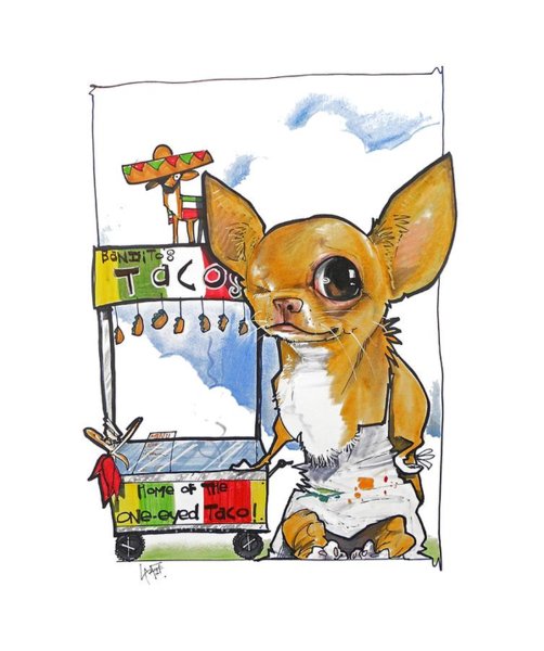 502x600 Chihuahua Dogs Drawings Fine Art America