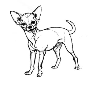 288x288 Chihuahua Crafts