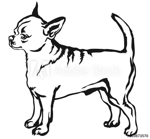 500x462 Decorative Standing Portrait Of Dog Short Haired Chihuahua Vector