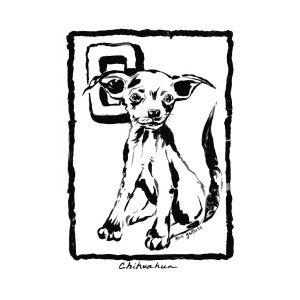 300x300 Dog Drawing Chihuahua Painting