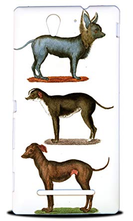 267x445 Foxercase Designs Chihuahua Dog Sketch Art Drawing Hard Back Case