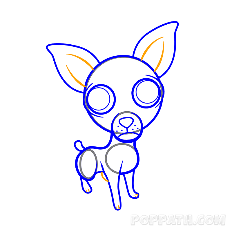 800x800 How To Draw A Chihuahua Pop Path