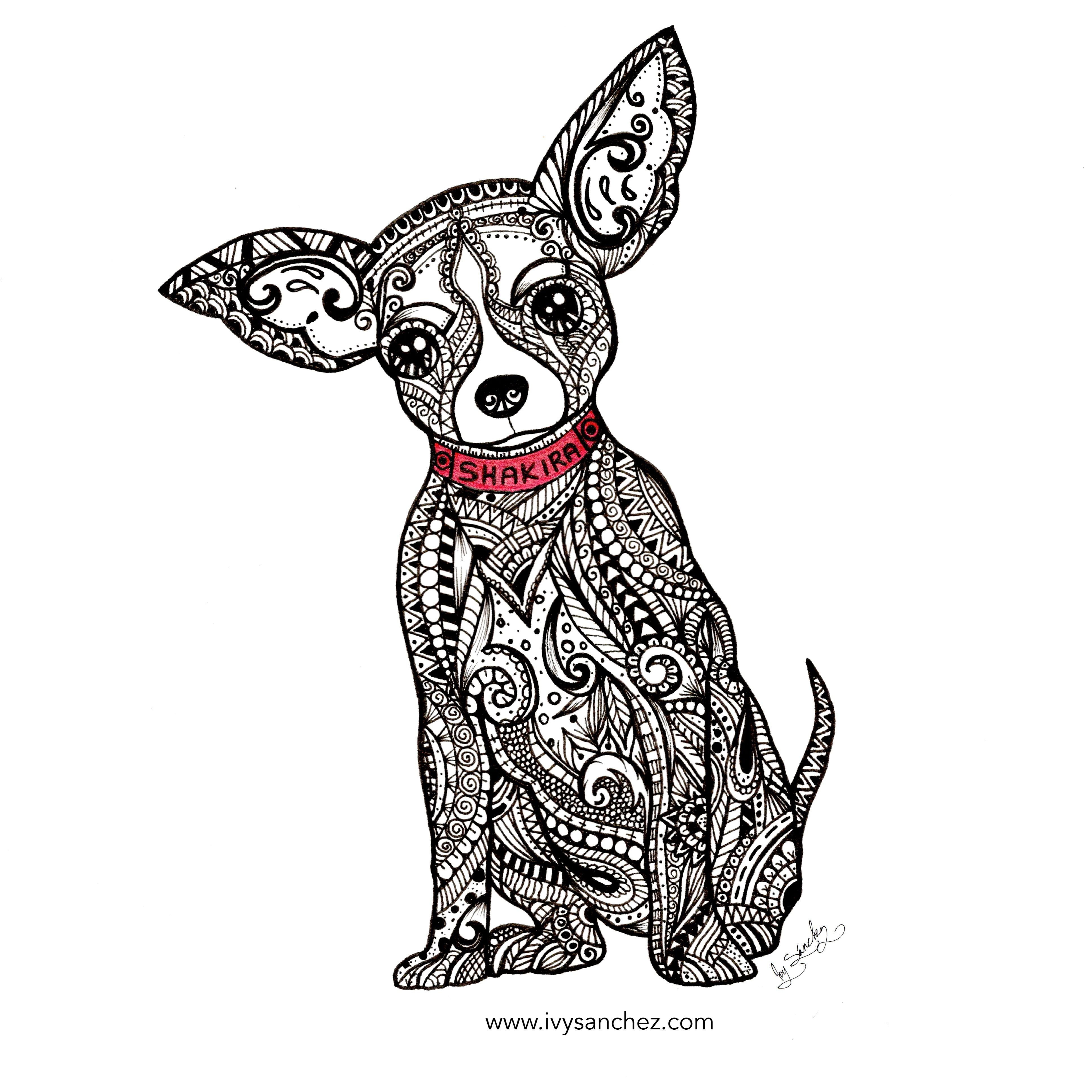 3872x3872 Chihuahua Dog Coloring Pages