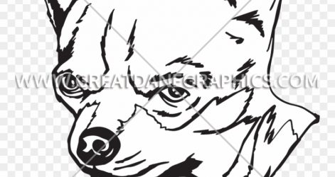 471x250 Easy Chihuahua Dog Drawing Head Angry Cute Outline Pictures