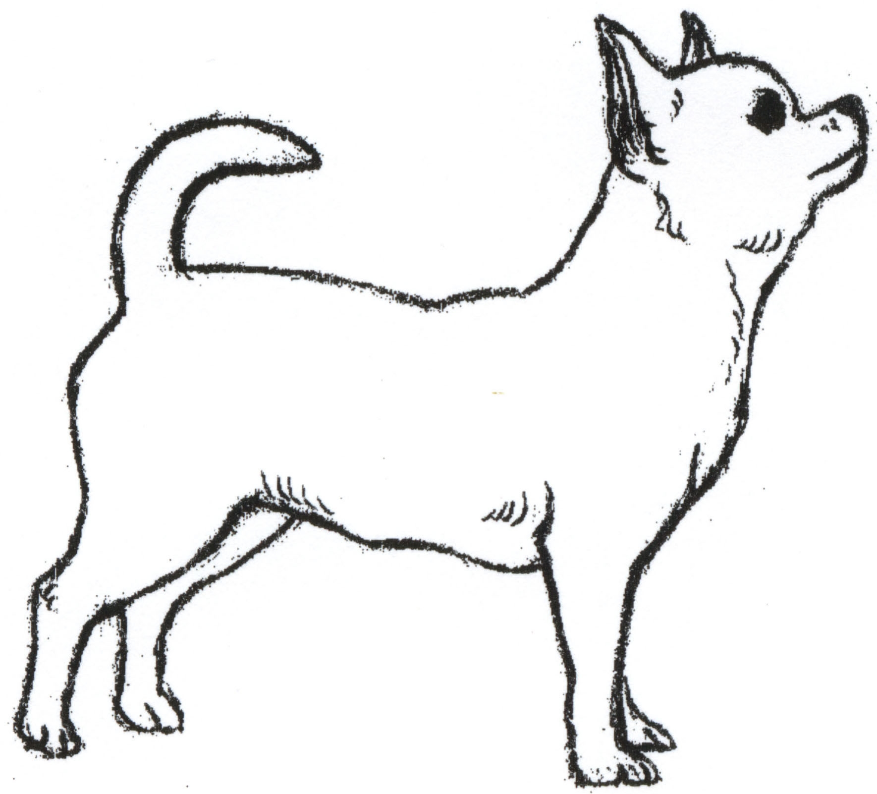 1770x1602 Chihuahua Drawing Side View For Free Download