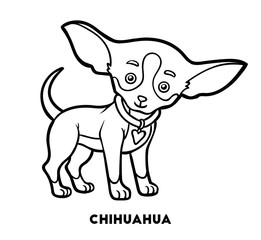 261x240 Chihuahua Photos, Royalty Free Images, Graphics, Vectors Videos