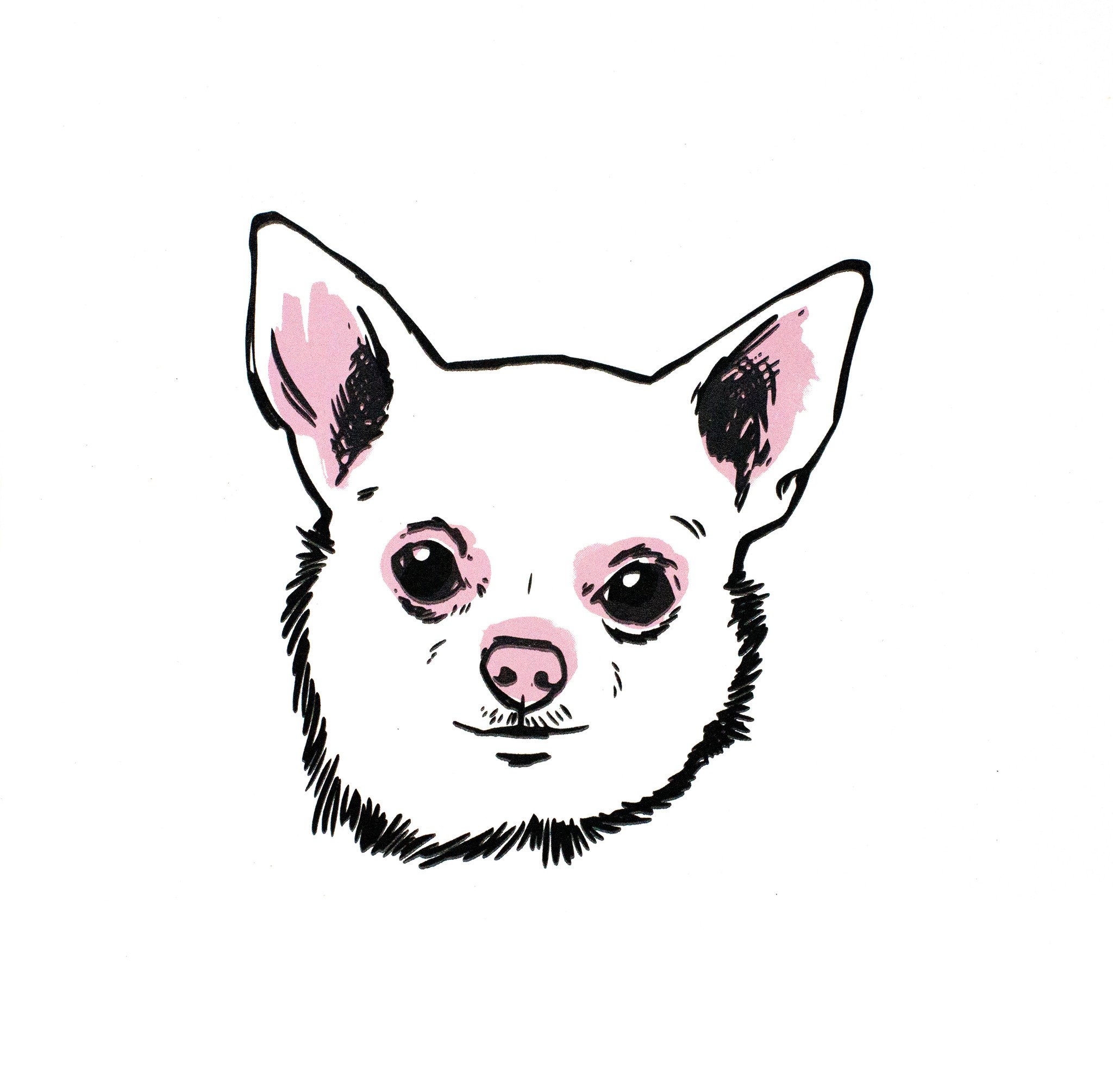 2048x2010 Chihuahua Printa Design