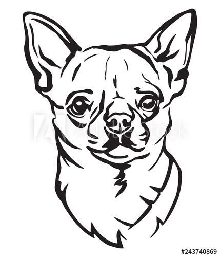429x500 Decorative Portrait Of Dog Chihuahua Vector Illustration