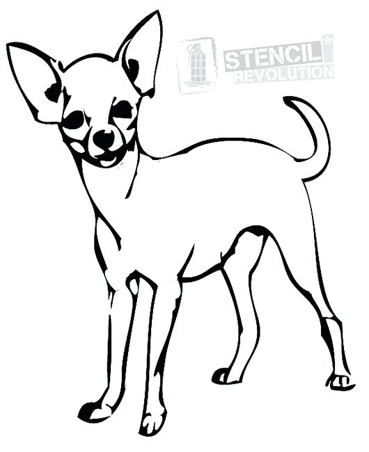 530x650 dog coloring pages chihuahua chihuahua coloring pages cute baby