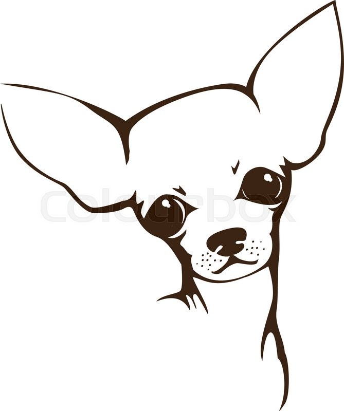 669x800 The Head Of Chihuahua Dog Dog Vector Stock Vector Colourbox