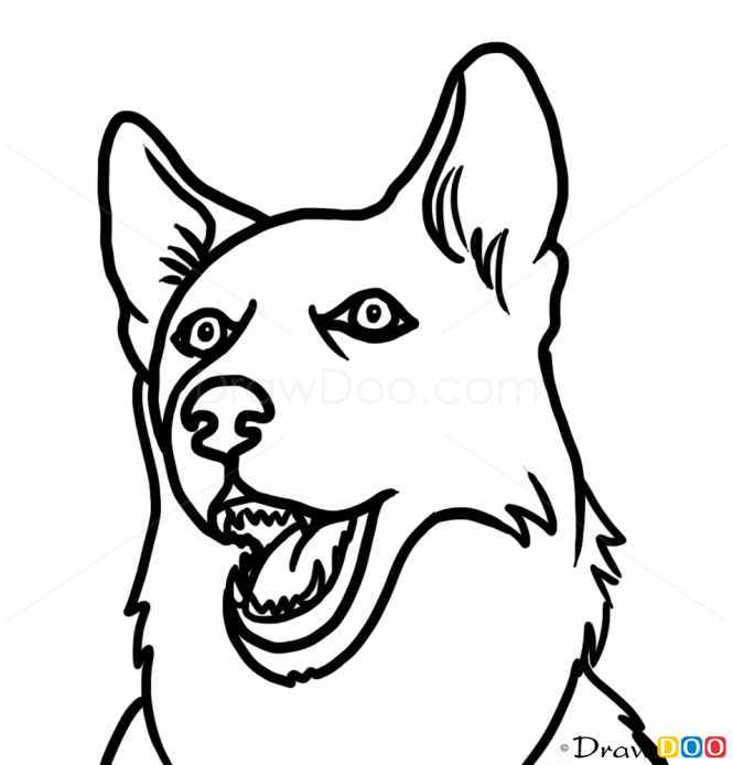 665x694 Chihuahua Drawing Face For Free Download