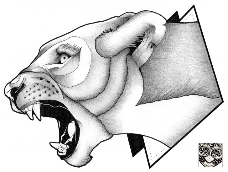 728x548 Angry Boy Drawing Chihuahua Cloud Ape Couple Anime Faces Iydunetwork