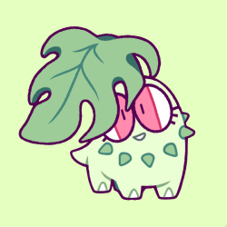 250x250 chikorita tumblr