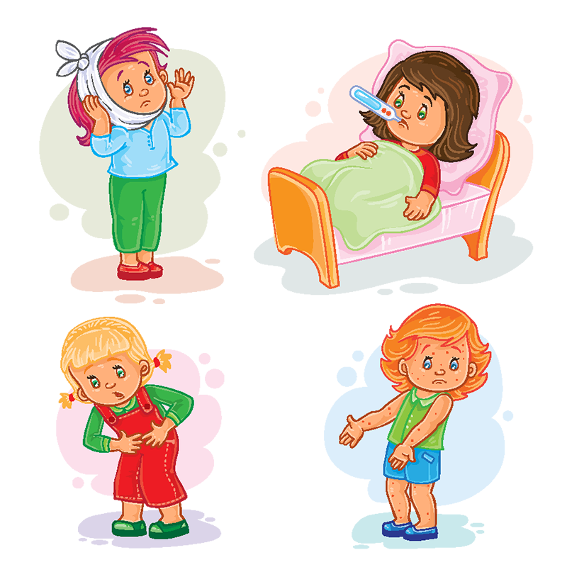 800x800 Collection Of Free Child Vector Anatomy Download On Ui Ex