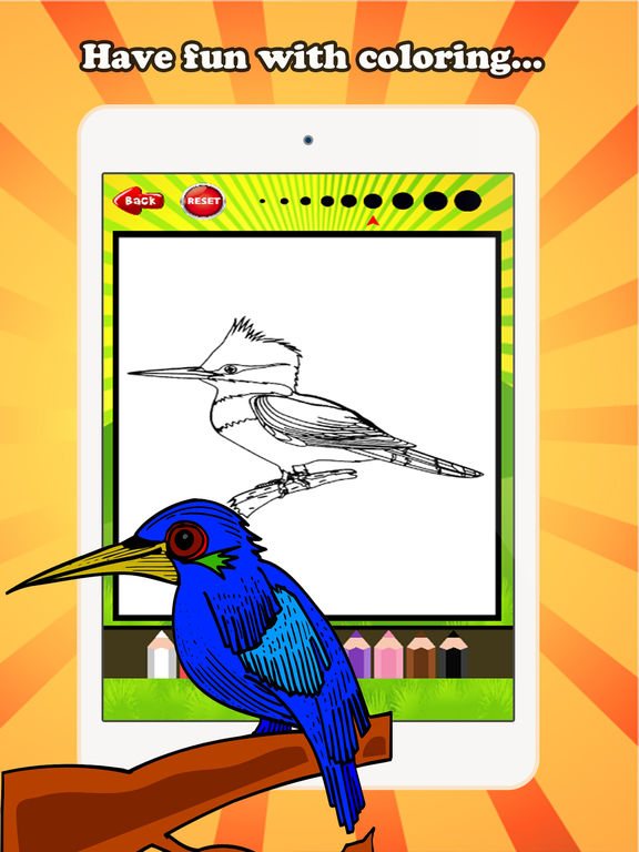 576x768 Bird Coloring Book For Children Age Drawing Coloring