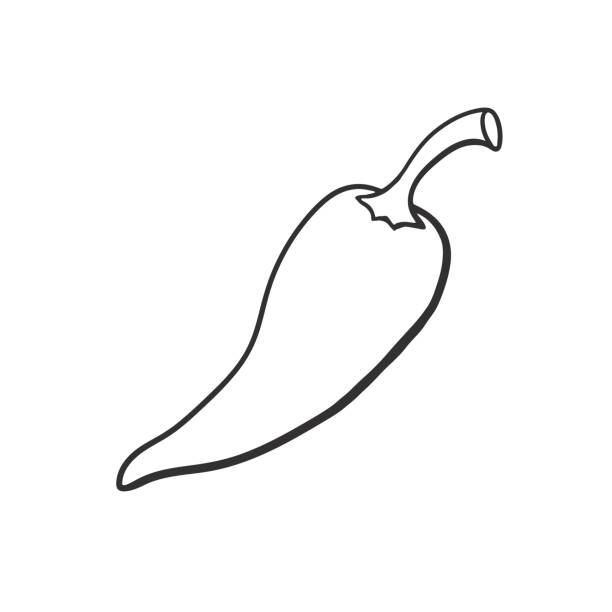 612x612 collection of free pepper drawing jalapeno download on ui ex