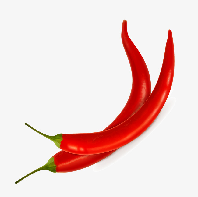 650x646 collection of free pepper drawing serrano download on ui ex