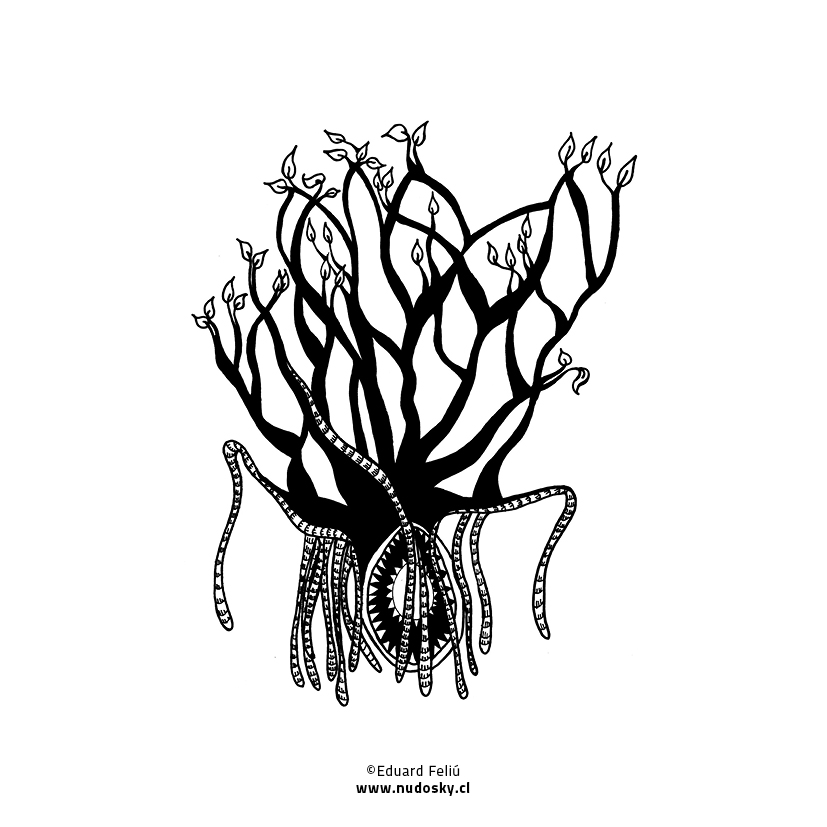 827x827 The World's Best Photos Of Chile And Draw