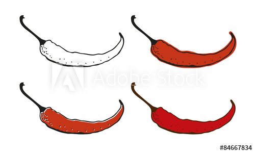 500x300 Chili Pepper Drawing