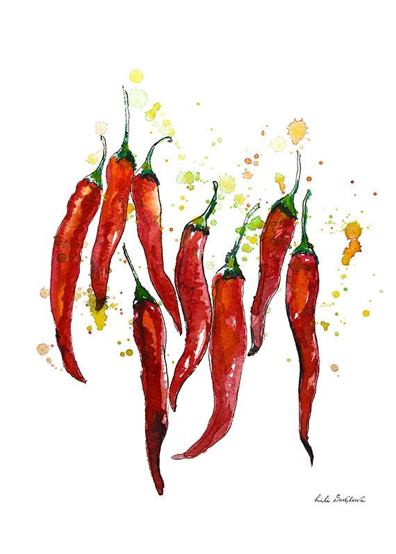570x798 red chili pepper, watercolor pepper, graphics print, poster, wall