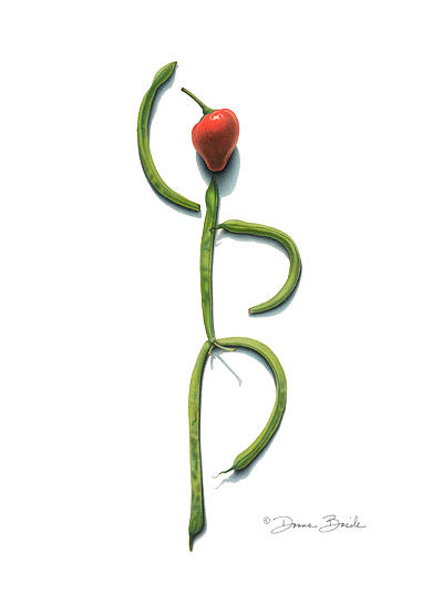 400x545 Stringbean Chili Pepper Arabesque Drawing