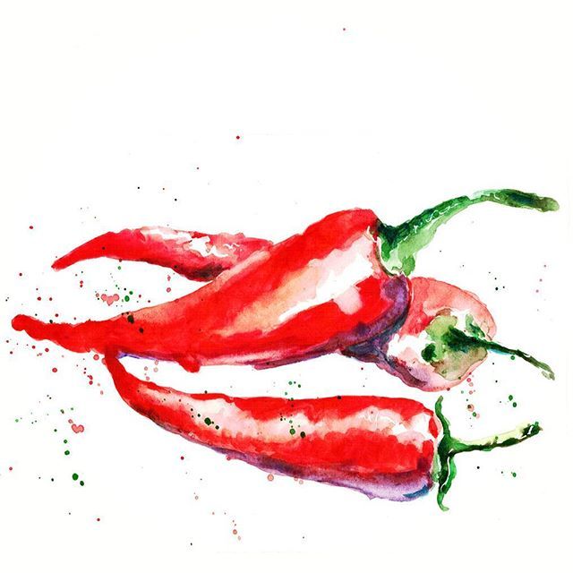 640x640 Sunday Chilli Peppers