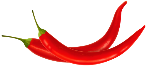 500x225 Peppers Drawing Peper Huge Freebie! Download For Powerpoint