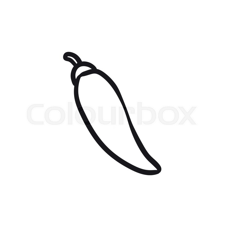 800x800 Chilli Vector Sketch Icon Isolated On Stock Vector Colourbox