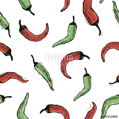 500x500 chilly pepper, chilli vector hand drawn vector illustration fresh