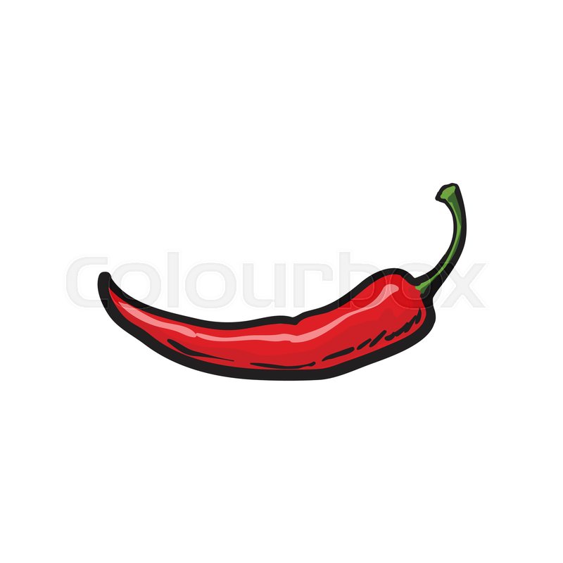 800x800 Single Fresh Whole Ripe Red Chili Stock Vector Colourbox