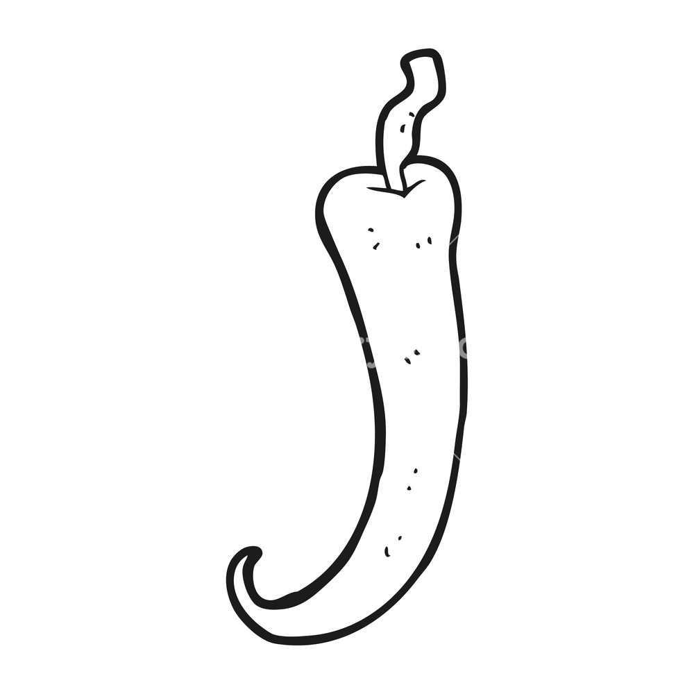 1000x1000 Freehand Drawn Black And White Cartoon Chilli Pepper Royalty Free